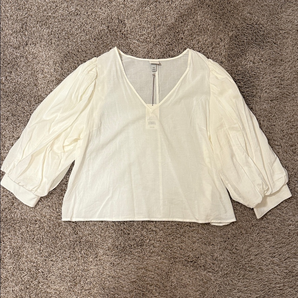 A New Day V-Neck 3/4 Balloon Sleeve Blouse